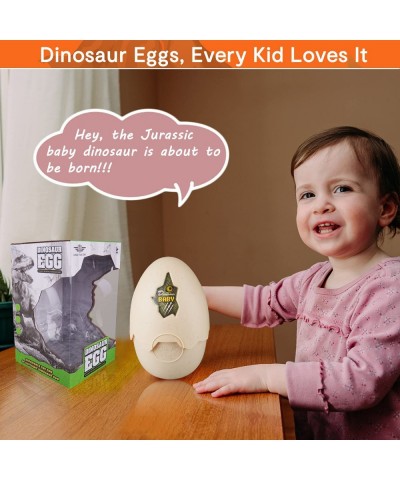 Dinosaur Hatching Eggs Easter Dinosaur Egg Jurassic Dinosaur Eggs with Realistic Dinosaur Action Figure Dino Toy with Sound a...