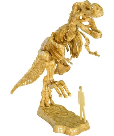 657550 I Dig It! Dinos 3D T. Rex Excavation | Science Kit | 3D Tyrannosaurus Rex Dinosaur Skeleton | Paleontology | Dinosaur ...