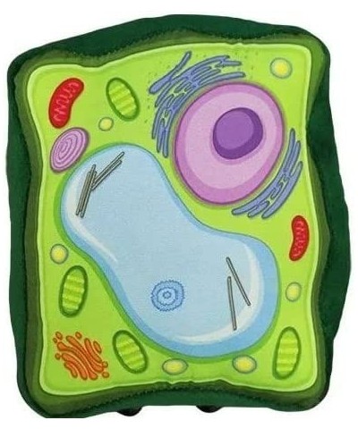 GIANTmicrobes Plant Cell Plush – Learn about Cell Biology with this Educational Plush Memorable Gift for Biology Students Sci...